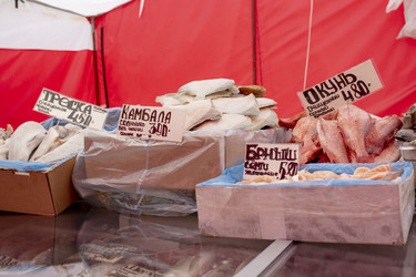 Similar image 22611557