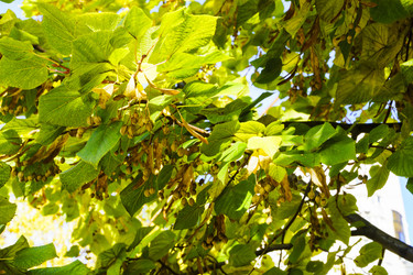 Similar image 22618222