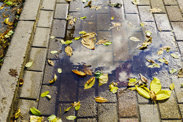 Similar image 22621104