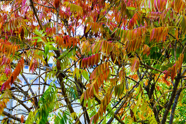 Similar image 22621106