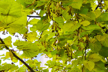 Similar image 22628019