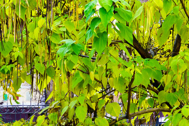 Similar image 22628025