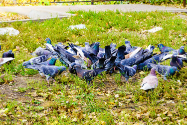 Similar image 22631704