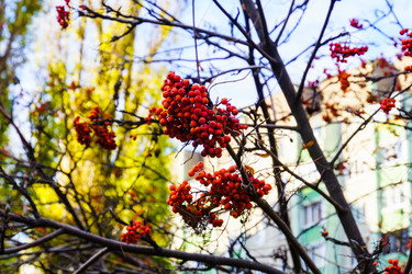 Similar image 22631707