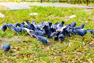 Similar image 22631709