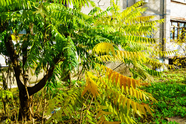 Similar image 22631710