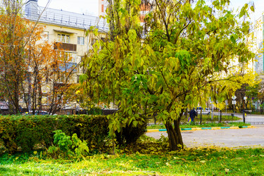 Similar image 22631789