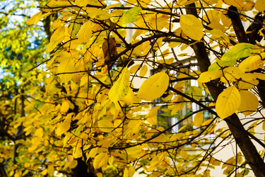 Similar image 22631790