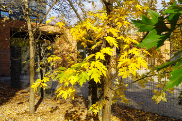 Similar image 22631791