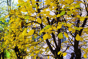 Similar image 22631792