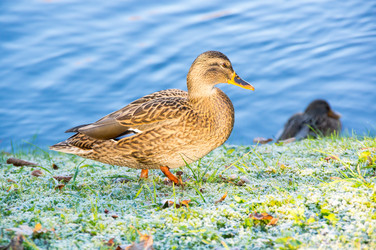 Similar image 22611924