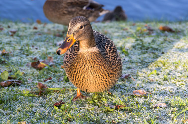 Similar image 22611934