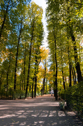 Similar image 22611936