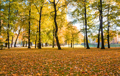 Similar image 22611937