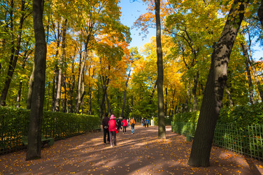 Similar image 22611938