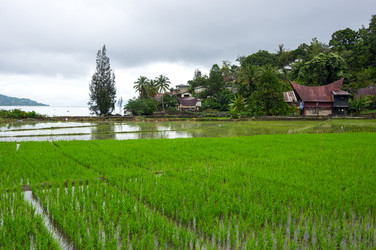 Similar image 22611949