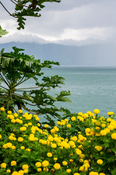 Similar image 22611953