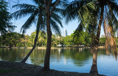 Similar image 22611955