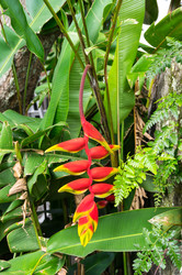 Similar image 22611970