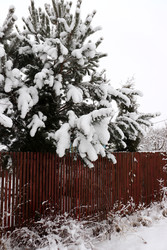 Similar image 22627875