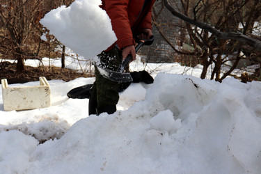 Similar image 22618251