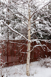 Similar image 22618252