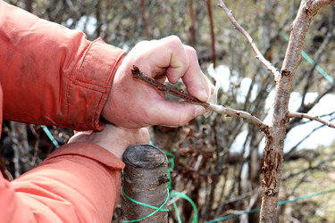 Similar image 22618253