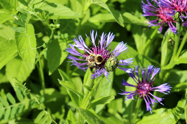 Similar image 22627878