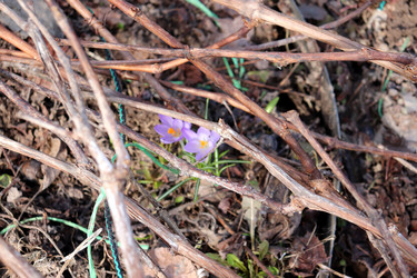 Similar image 22618256