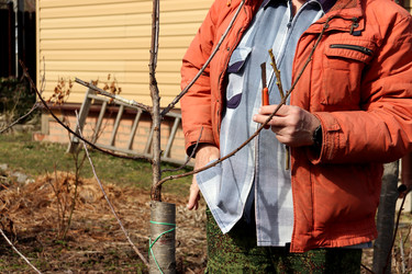 Similar image 22627879