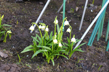 Similar image 22627880