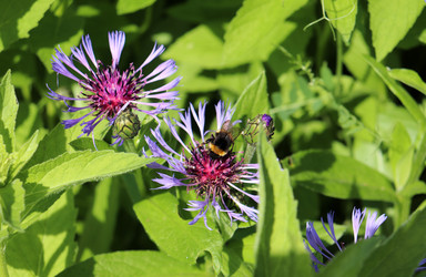 Similar image 22618266