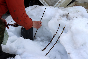 Similar image 22618267