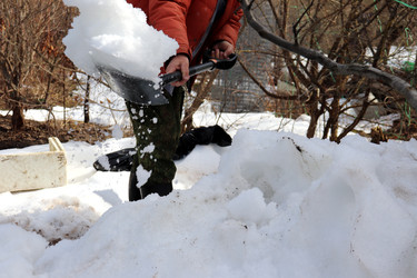 Similar image 22627881