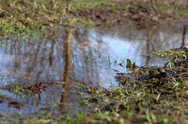 Similar image 22618270