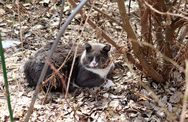 Similar image 22618271