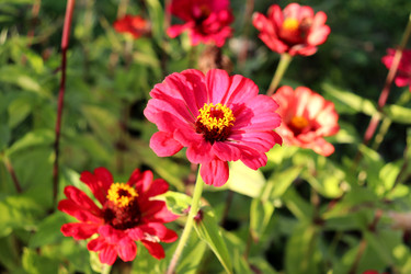 Similar image 22618272