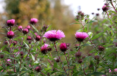 Similar image 22618273