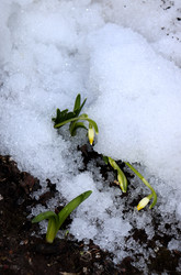 Similar image 22618274