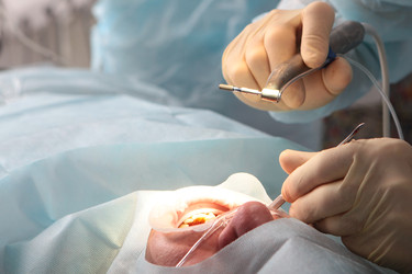 Similar image 22618542