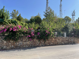 Similar image 22633245