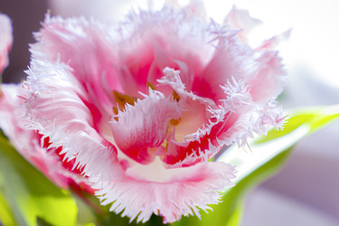 Similar image 22618670