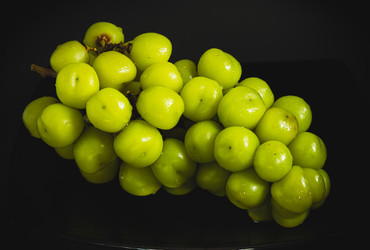 Similar image 22618095