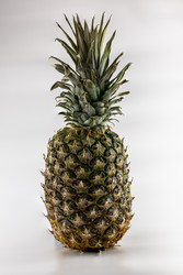 Similar image 22618099