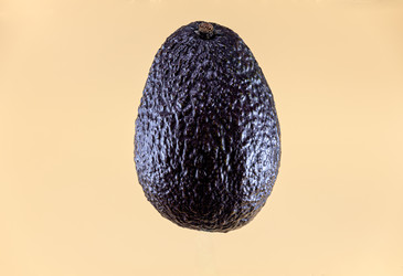 Similar image 22618100