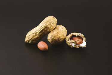 Similar image 22618102