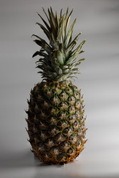 Similar image 22618105