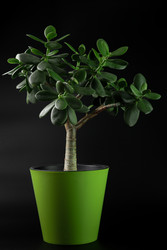 Similar image 22618109