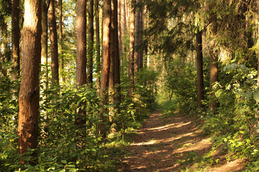 Similar image 22611574