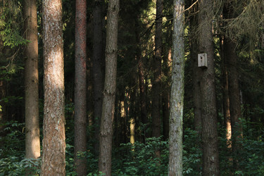 Similar image 22611590